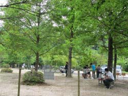 広島県立広島緑化植物公園のわんこひろばで憩う人たち