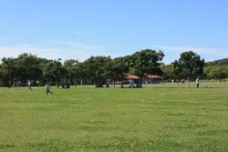 しあわせの村にある芝生広場の風景