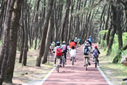 阿波岐原森林公園の歩道を自転車で走行する人たち