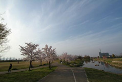 橿原運動公園の風景写真