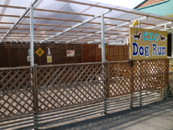 dog cafe ピエロにある屋根付きのアットホームなドッグラン風景