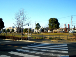道路を挟んで篠崎公園ドッグランの全体を写した写真