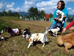 犬都記念公園のドッグラン風景