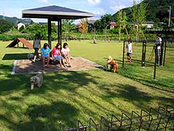 吾妻峡のドッグランにあるあずまやでくつろぐ子供たちと周囲で遊ぶ犬の風景