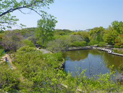 自然に囲まれた奥須磨公園のため池
