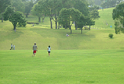 かごしま健康の森公園の芝生をジョギングする人々