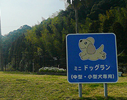 桜島サービスエリア(上り線)にある中型犬～大型犬用のミニドッグラン