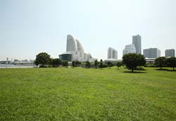 横浜港を望む抜群のロケーションが目の前に広がる広大な芝生広場