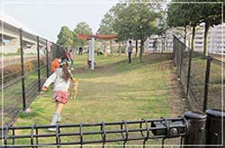 新杉田公園のドッグランの縦長な奥行きが分かる画像