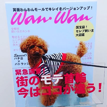 雑誌ananのパロディ！アナタの愛犬が雑誌のモデルに？