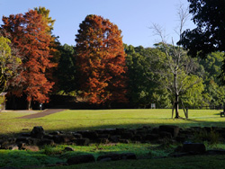 木々の紅葉が綺麗な平和台公園の風景