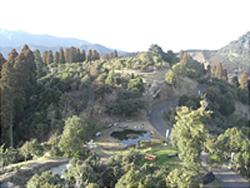 山の斜面を整備して作られた椿山森林公園のパノラマ風景