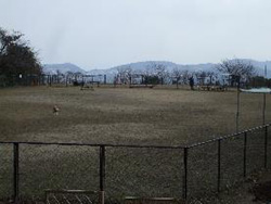 稲佐山公園の広大なドッグラン風景