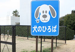 大村湾PA下り線にある犬のひろばの看板とランの風景