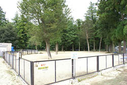 野木町総合運動公園ドッグランの全体が見渡せる写真