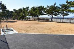 小松海岸緑地ドッグランの小型犬エリア風景写真