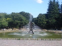 世田谷公園の中央にある噴水広場の風景