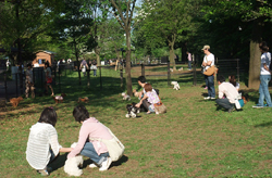 国営昭和記念公園のドッグランで憩う人々
