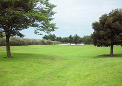 常願寺川公園の芝生風景